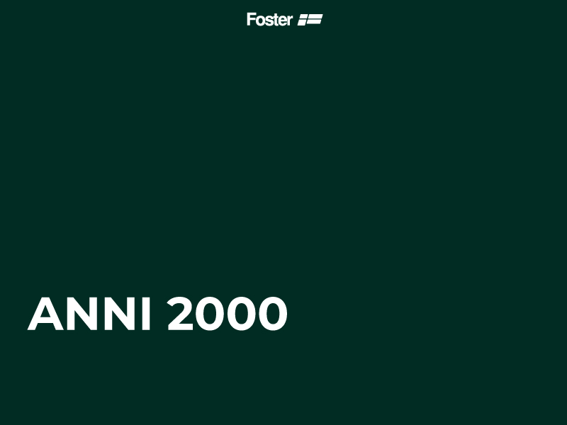Gli Anni 2000