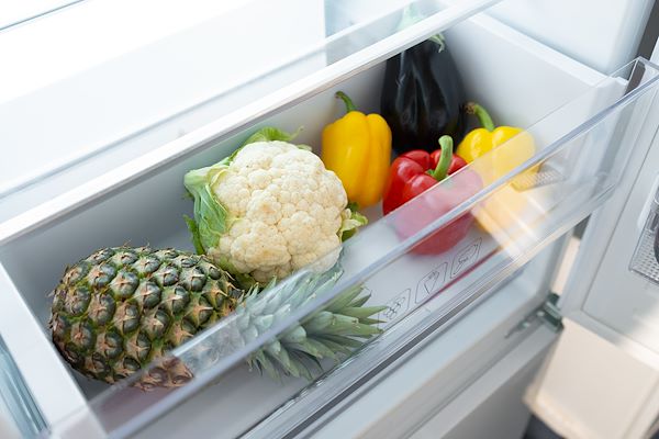 La nuova linea del freddo by Foster