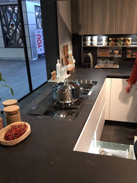 Foster en Sadecc 2017