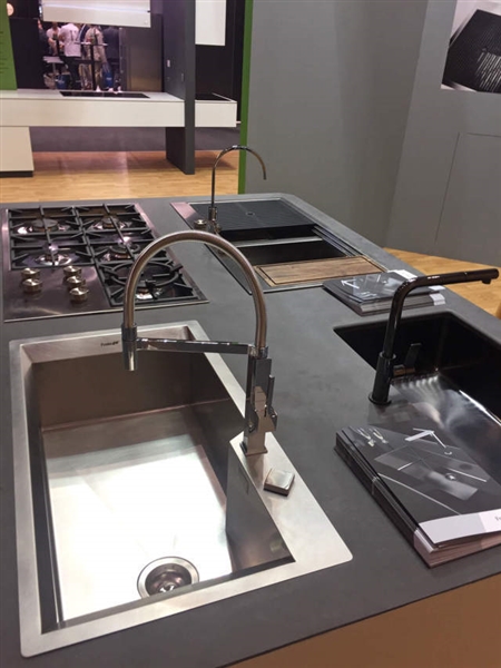 Foster en Sadecc 2017